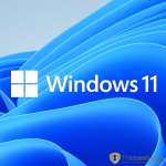 Windows 11