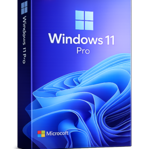 Windows 11 PRO